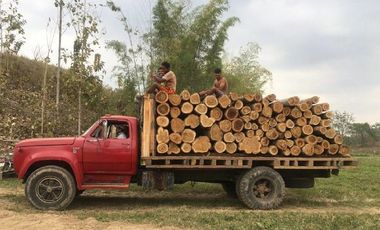 Balzar, Venta de Excelente hacienda de 100 Ha