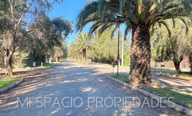 Camino Carmpangue - Colegio Trebulco