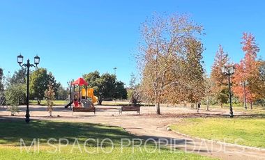 Camino Carmpangue - Colegio Trebulco