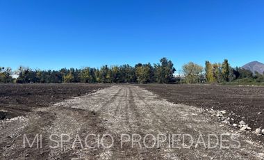 Camino Carmpangue - Colegio Trebulco