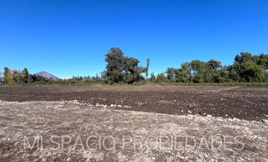 Camino Carmpangue - Colegio Trebulco