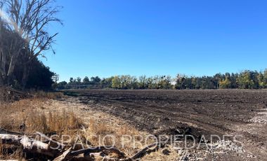 Camino Carmpangue - Colegio Trebulco