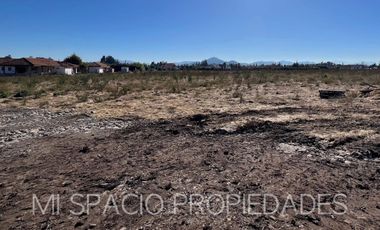 Camino Carmpangue - Colegio Trebulco