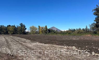 Camino Carmpangue - Colegio Trebulco