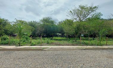 En Palomino, Conjunto de Lotes de 1000 m2 Urbanizados cerca al Río y al Mar