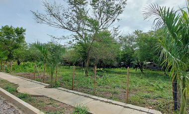 En Palomino, Conjunto de Lotes de 1000 m2 Urbanizados cerca al Río y al Mar