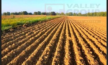 Hectáreas en Venta en Ejido el Porvenir, Reynosa, Tamaulipas