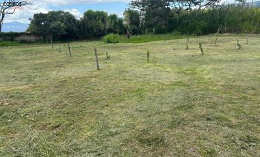 Terrenos de venta en Chaltura, 440 m2