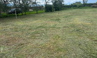 Terrenos de venta en Chaltura, 440 m2