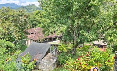 Finca en la parcealción La Siria con piscina en venta. Amagá - Antioquia