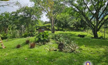 Finca en la parcealción La Siria con piscina en venta. Amagá - Antioquia
