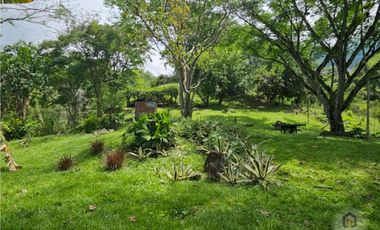 Finca en la parcealción La Siria con piscina en venta. Amagá - Antioquia