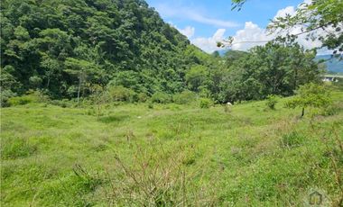 Finca en la parcealción La Siria con piscina en venta. Amagá - Antioquia