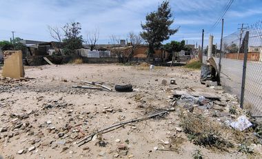 TERRENO EN RENTA EN  COL SALVARCA
