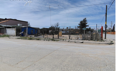 TERRENO EN RENTA EN  COL SALVARCA