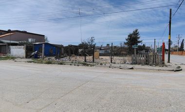 TERRENO EN RENTA EN  COL SALVARCA