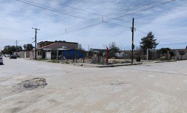 TERRENO EN RENTA EN  COL SALVARCA