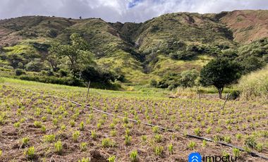 Terreno en venta en sector Taquil cerca del Pueblo de Cera y a pocos minutos de Loja y Catamayo