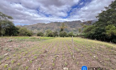Terreno en venta en sector Taquil cerca del Pueblo de Cera y a pocos minutos de Loja y Catamayo