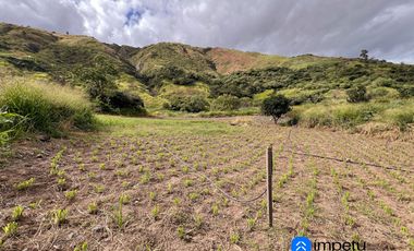 Terreno en venta en sector Taquil cerca del Pueblo de Cera y a pocos minutos de Loja y Catamayo