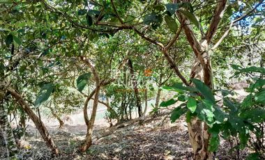 Lote con vista panorámica en venta Marinilla