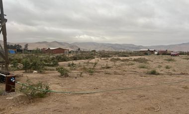 LINDA PARCELA VALLE FÉRTIL COPIAPÓ