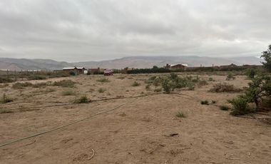 LINDA PARCELA VALLE FÉRTIL COPIAPÓ