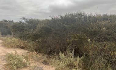 LINDA PARCELA VALLE FÉRTIL COPIAPÓ