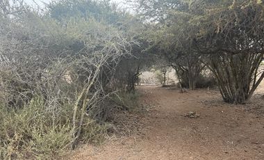 LINDA PARCELA VALLE FÉRTIL COPIAPÓ