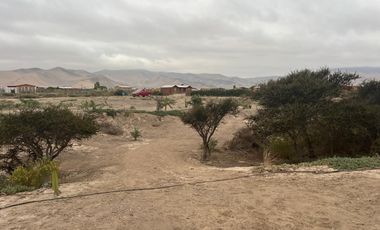 LINDA PARCELA VALLE FÉRTIL COPIAPÓ