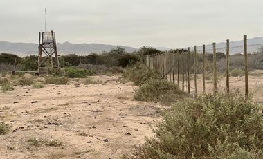 LINDA PARCELA VALLE FÉRTIL COPIAPÓ