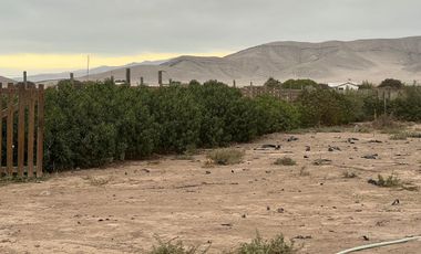 LINDA PARCELA VALLE FÉRTIL COPIAPÓ