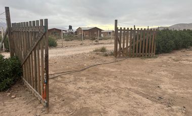 LINDA PARCELA VALLE FÉRTIL COPIAPÓ