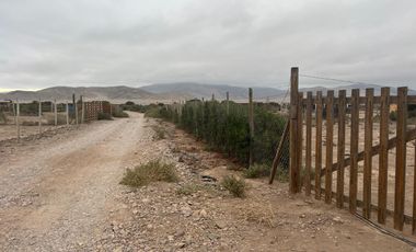 LINDA PARCELA VALLE FÉRTIL COPIAPÓ