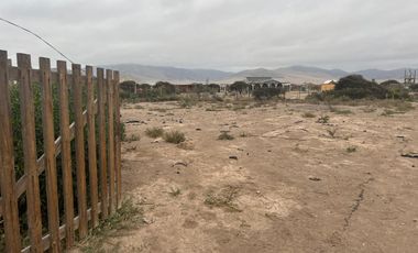 LINDA PARCELA VALLE FÉRTIL COPIAPÓ