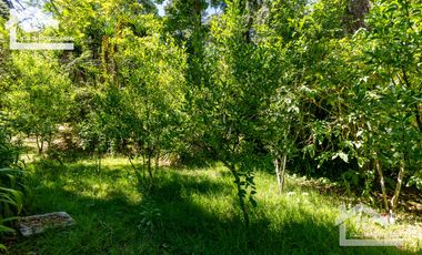 Venta de Cabaña Nueva en Mineral del Chico – Entorno Natural y Privilegiada Ubicación