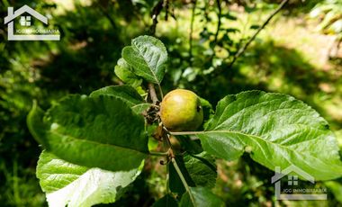 Venta de Cabaña Nueva en Mineral del Chico – Entorno Natural y Privilegiada Ubicación