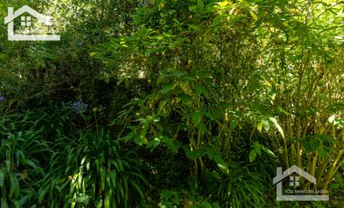 Venta de Cabaña Nueva en Mineral del Chico – Entorno Natural y Privilegiada Ubicación