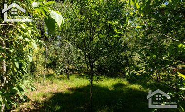 Venta de Cabaña Nueva en Mineral del Chico – Entorno Natural y Privilegiada Ubicación