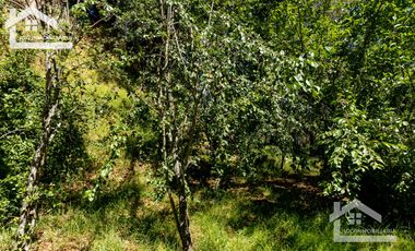 Venta de Cabaña Nueva en Mineral del Chico – Entorno Natural y Privilegiada Ubicación