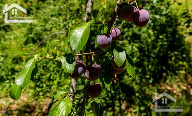 Venta de Cabaña Nueva en Mineral del Chico – Entorno Natural y Privilegiada Ubicación