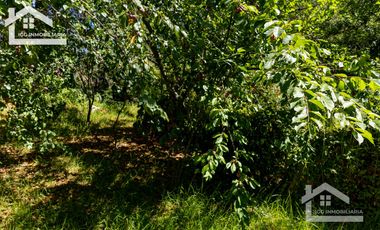 Venta de Cabaña Nueva en Mineral del Chico – Entorno Natural y Privilegiada Ubicación