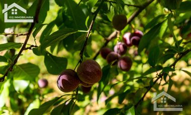 Venta de Cabaña Nueva en Mineral del Chico – Entorno Natural y Privilegiada Ubicación