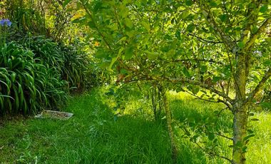 Venta de Cabaña Nueva en Mineral del Chico – Entorno Natural y Privilegiada Ubicación