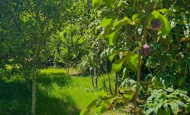 Venta de Cabaña Nueva en Mineral del Chico – Entorno Natural y Privilegiada Ubicación