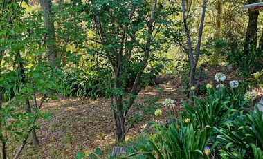 Venta de Cabaña Nueva en Mineral del Chico – Entorno Natural y Privilegiada Ubicación