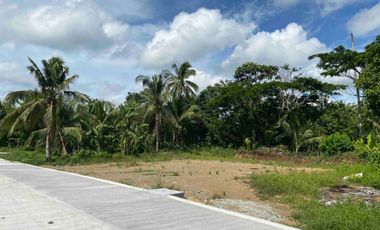 Looking For A Residential Lot or House and Lot? - Silang? Amadeo? Tagaytay? READ ON.