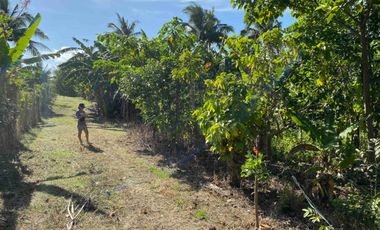 Looking For A Residential Lot or House and Lot? - Silang? Amadeo? Tagaytay? READ ON.