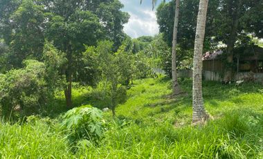 Looking For A Residential Lot or House and Lot? - Silang? Amadeo? Tagaytay? READ ON.