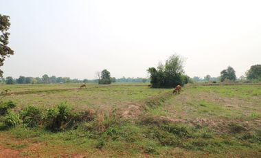 Thailand Property for Sale | 3 BRM 3 BATH House, 16+ Rai Nong Han Udon Thani